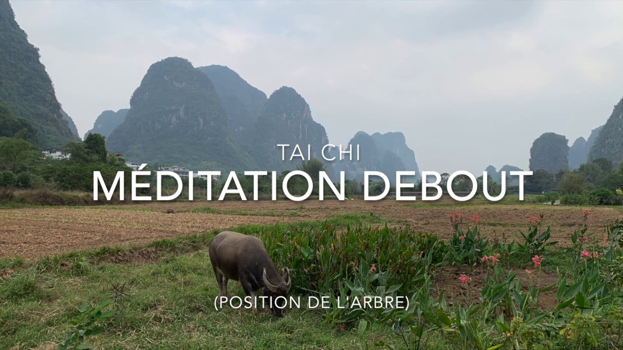 Tai Chi Méditation debout (position de l'arbre)