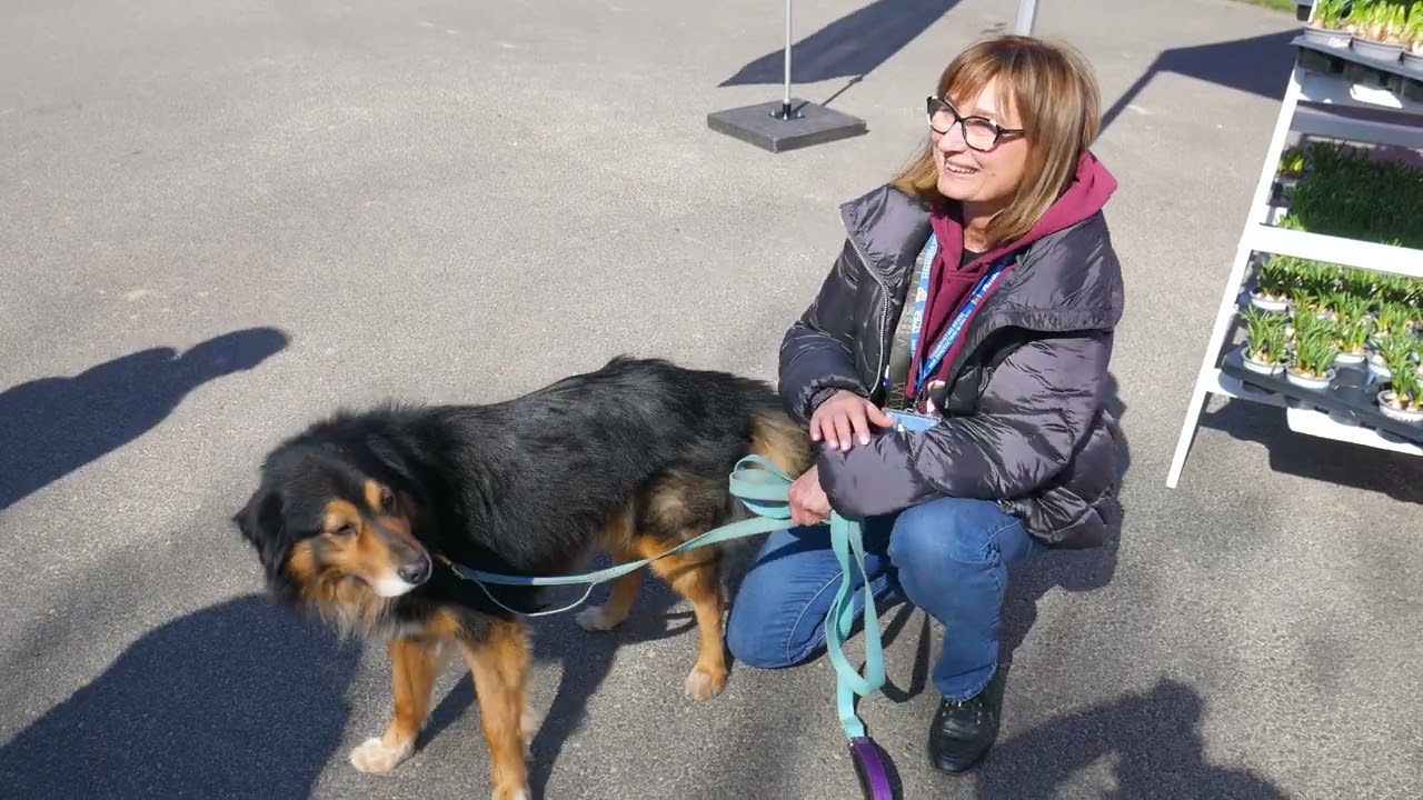 Wiosna z TAURONEM w Parku Śląskim. Rodzinne wydarzenie z ekologicznym akcentem.