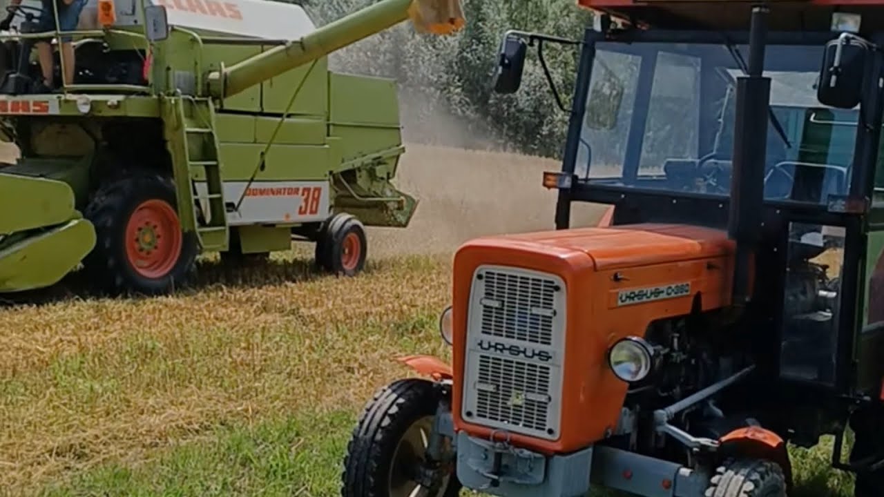 Polskie żniwa 2025 w polskim stylu jak za dawnych lat -U-R-S-U-S- C-360 Class Dominator38 Małopolska