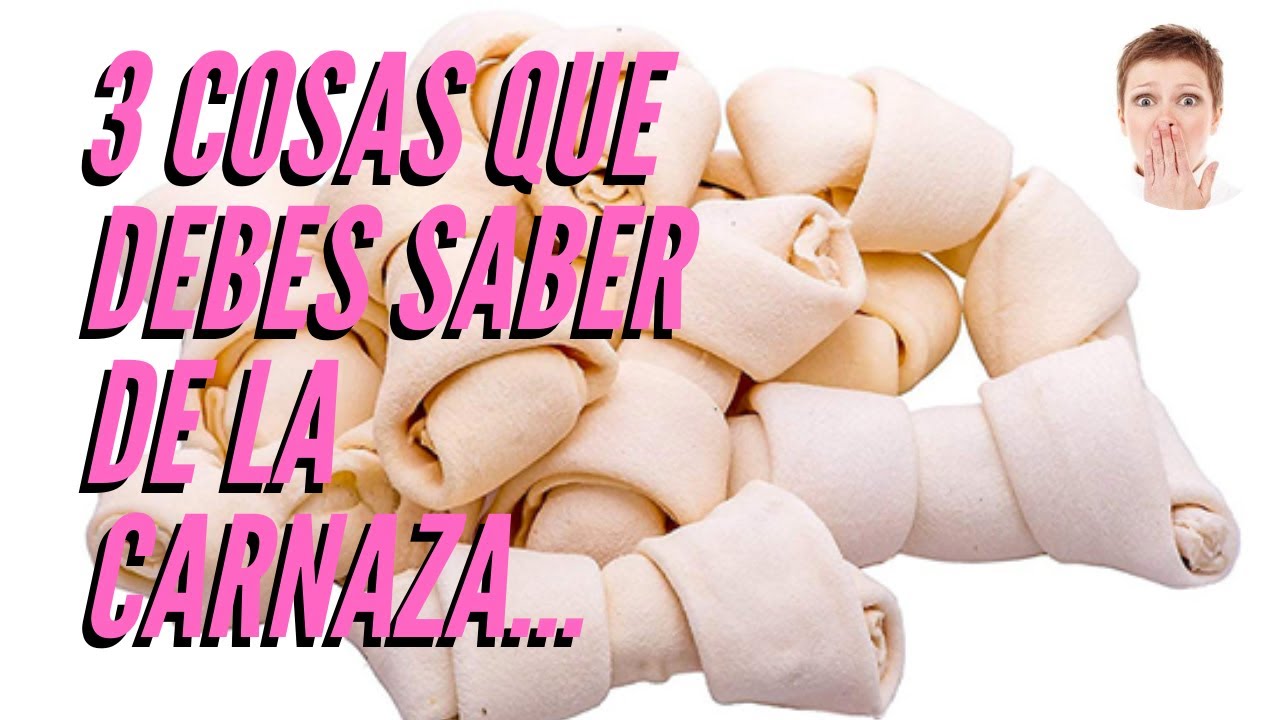 &iexcl;TRES COSAS QUE DEBES SABER DE LA CARNAZA!