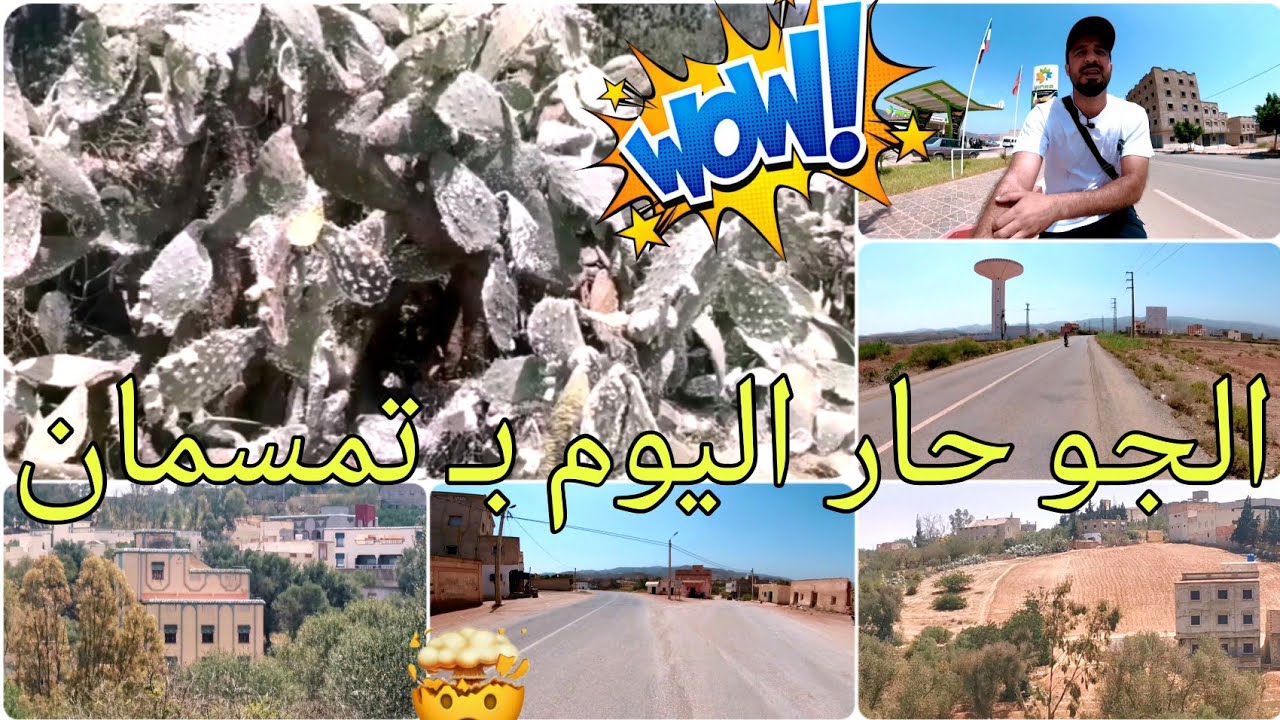 جولة في جو حار جدا بدوار أمزاورو تمسمان...شوفو الصبار هد العام كيداير الله ارحمنا اصاف 🤲🌴