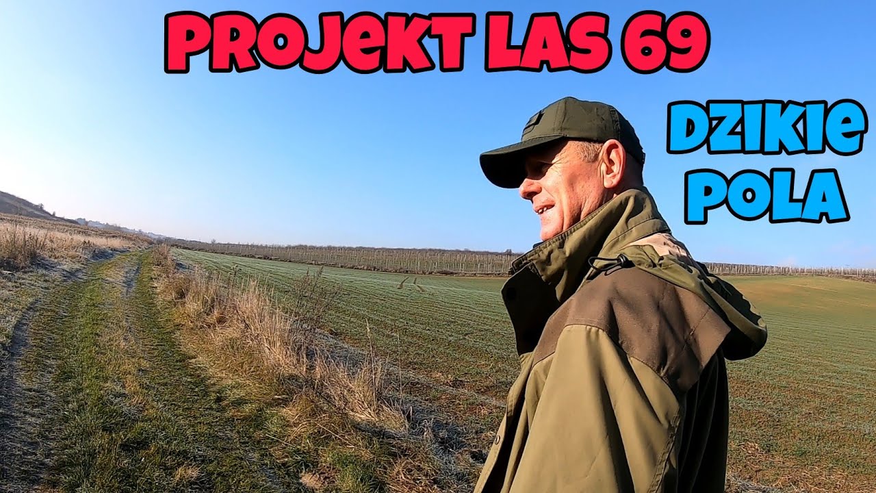 Projekt Las 69 Dzikie Pola