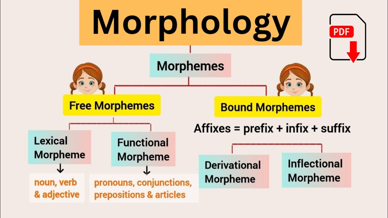 Morphology in Linguistics | Morphemes | Free and Bound Morphemes | Explained in Urdu & Hindi