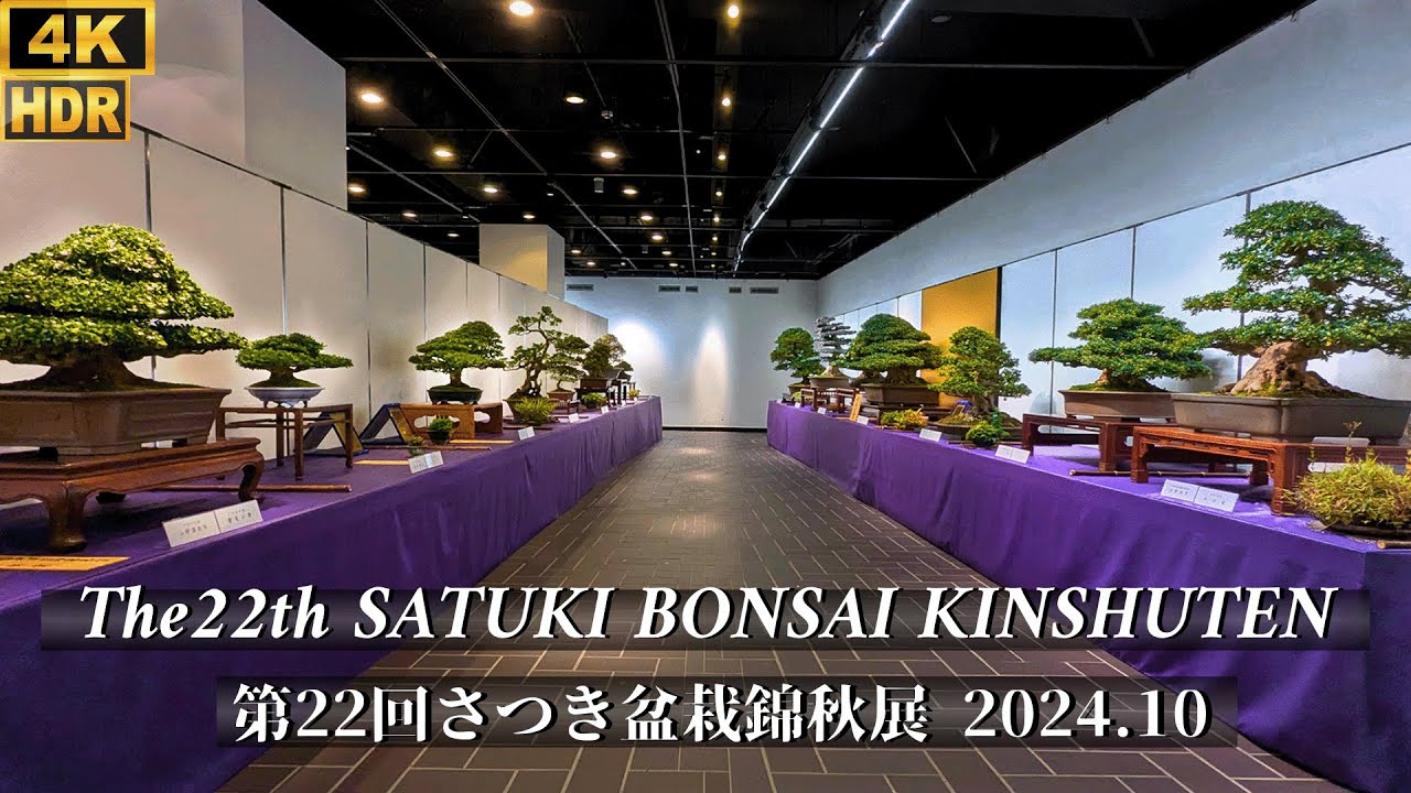 Japanese Satsuki Azale Bonsai Exhibition 2024, Kinshuten ~第22回さつき盆栽錦秋展 ~ [4K HDR]