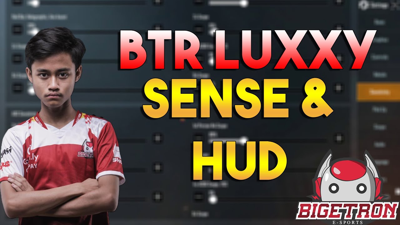 BTR LUXXY - SENSITIVITY & HUD SETTINGS - NO GYROSCOPE THE GOD