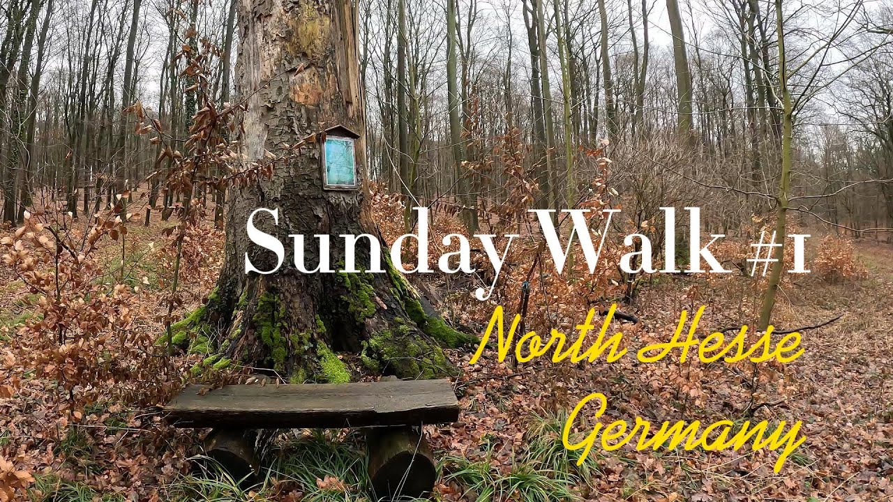 Sunday Walk #1   no talking - just walking