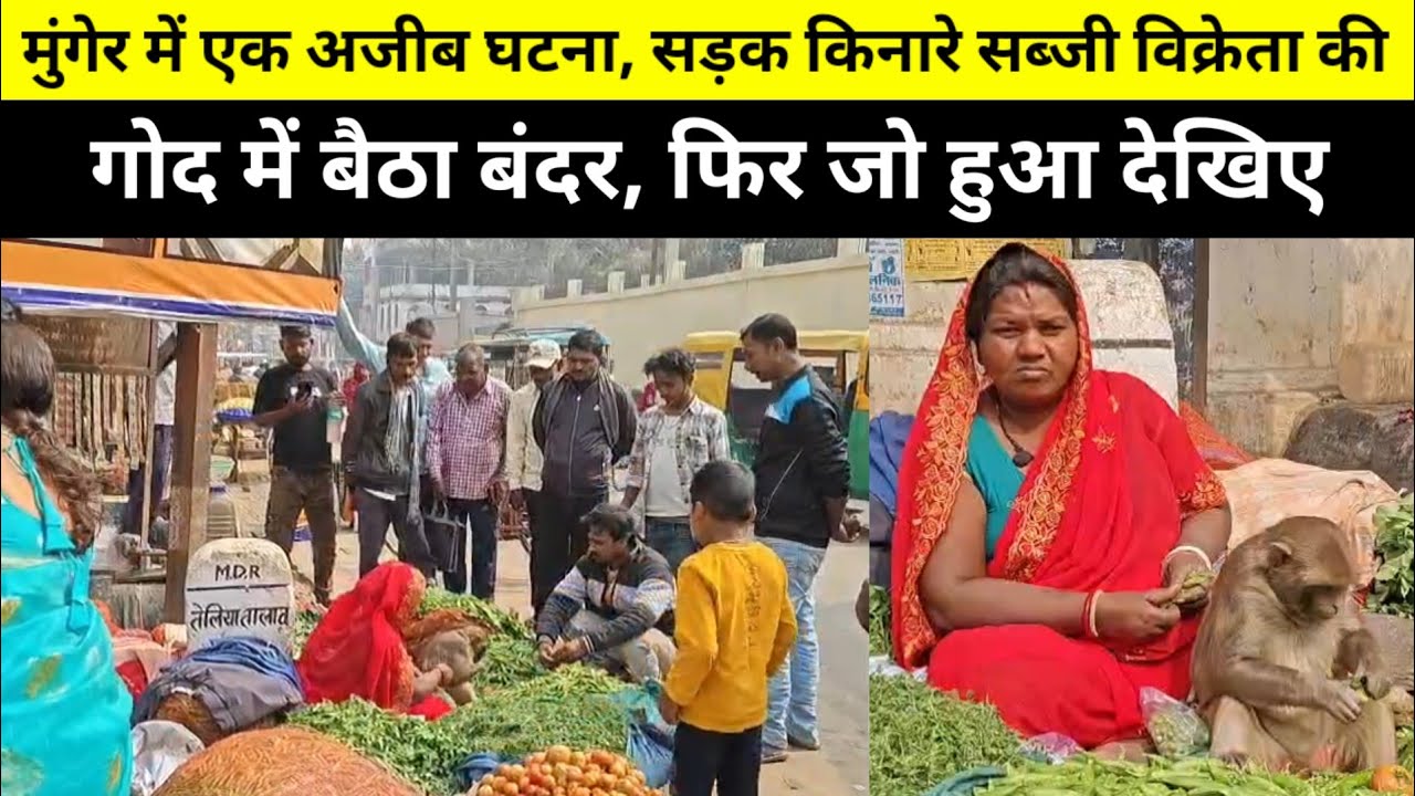 Munger में एक अजीब घटना, सड़क किनारे सब्जी विक्रेता की गोद में बैठा बंदर, फिर जो हुआ देखिए