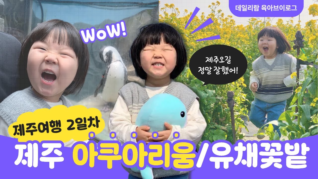 [육아v-log] 인생 첫 제주여행 2일차 아쿠아플라넷 제주 물멍시간/유채꽃밭/흑돼지돈까스맛집/성산카페/보룡제과