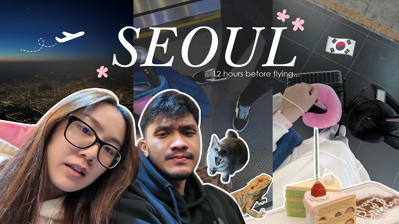 首尔 Seoul vlog 🇰🇷 ep1 | Pet boarding, birthday celebration, getting ready (Excited for Seoul!) 🎀✈️🐈🦎