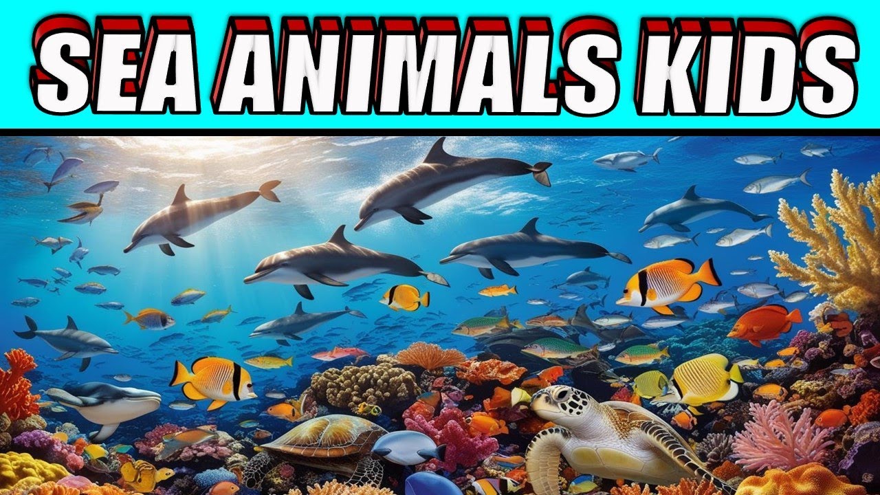 Learn Names & Types of Marine Animals | Learn About Sea Animals For Kids