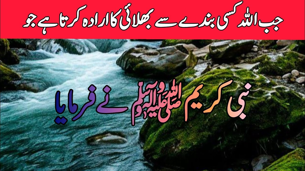 اللہ پر بھروسا کی طاقت | Tawakkul on Allah Hadith | Islamic Reminder Urdu