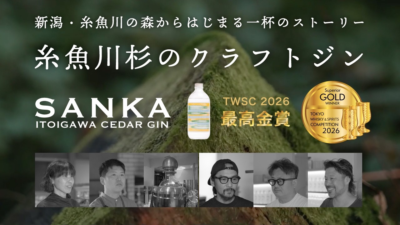 新潟・糸魚川の森から生まれたクラフトジン｜糸魚川杉「SANKA」誕生ストーリー