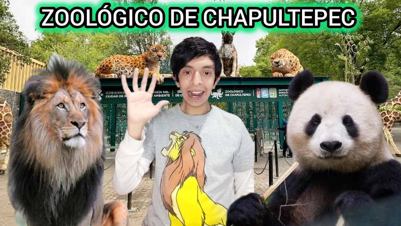 VISITANDO EL ZOOLÓGICO DE CHAPULTEPEC | VLOG