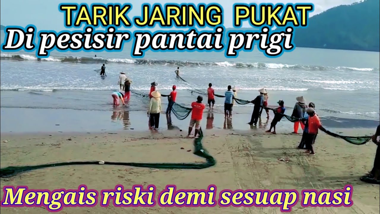 PROSES P3NANGKAPAN IKAN DENGAN JARING TARIK || PANTAI PRIGI TRENGGALEK