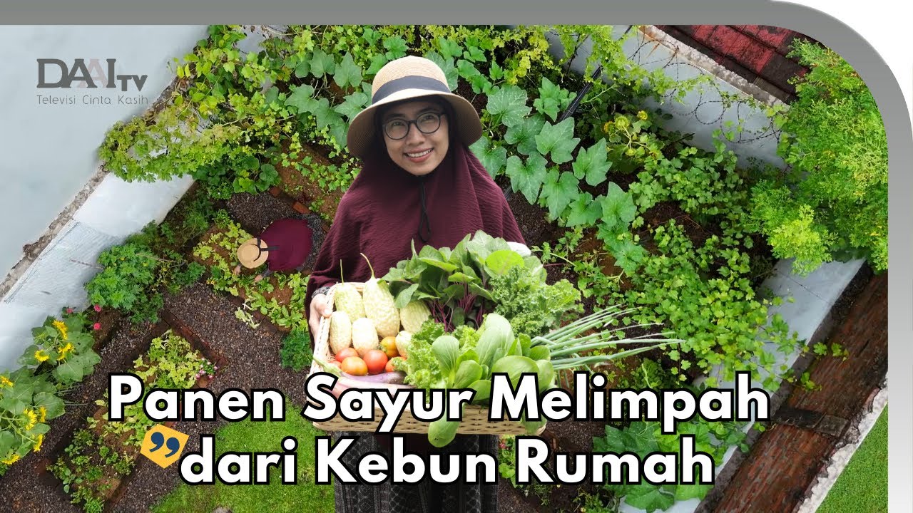 Slow Living Lewat Berkebun di Rumah - Kebun Emma