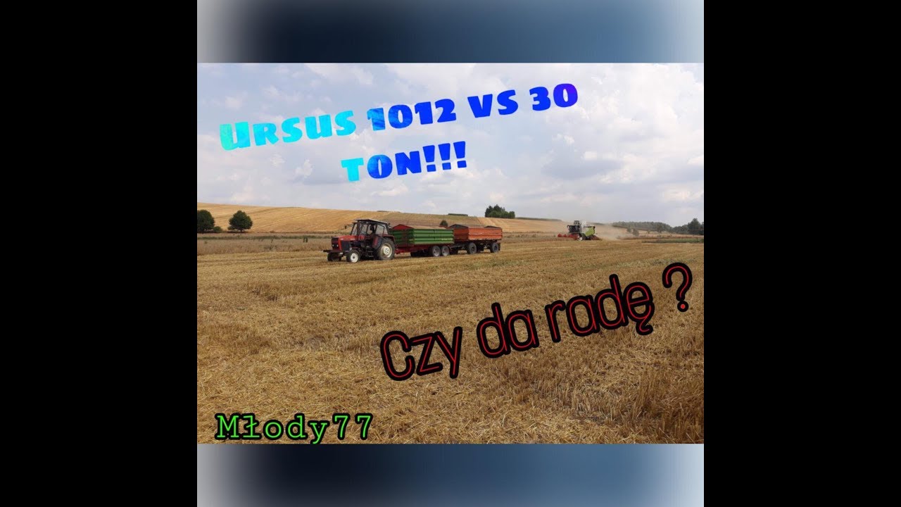 Ursus 1012 vs 30 TON !! Gwizd Turbiny!! Żniwa 2019!! Engine sound