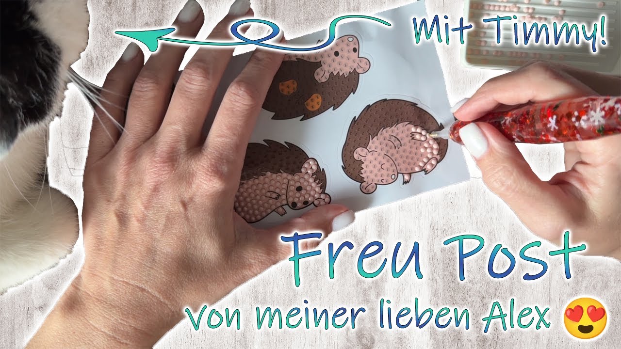 Diamond Painting | FREU POST von meiner lieben Alex 🥰 - mit Timmy 🐈