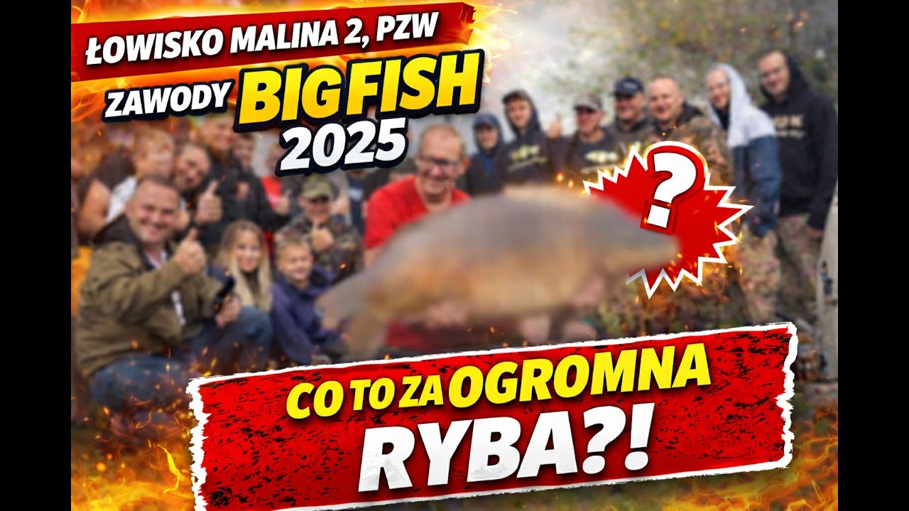 NIKT SIĘ NIE SPODZIEWAŁ TAKIEJ RYBY! ZAWODY BIG FISH 2025- ŁOWISKO PZW MALINA 2!