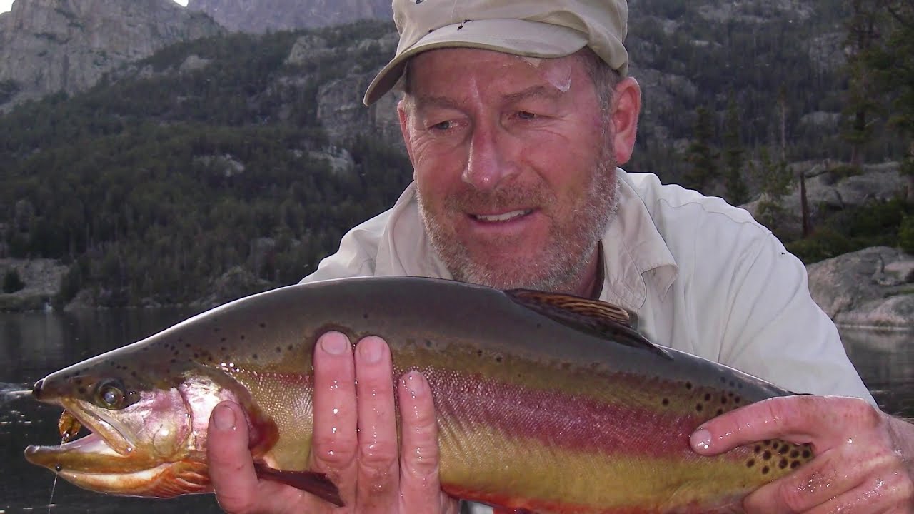 Wyoming Golden Trout
