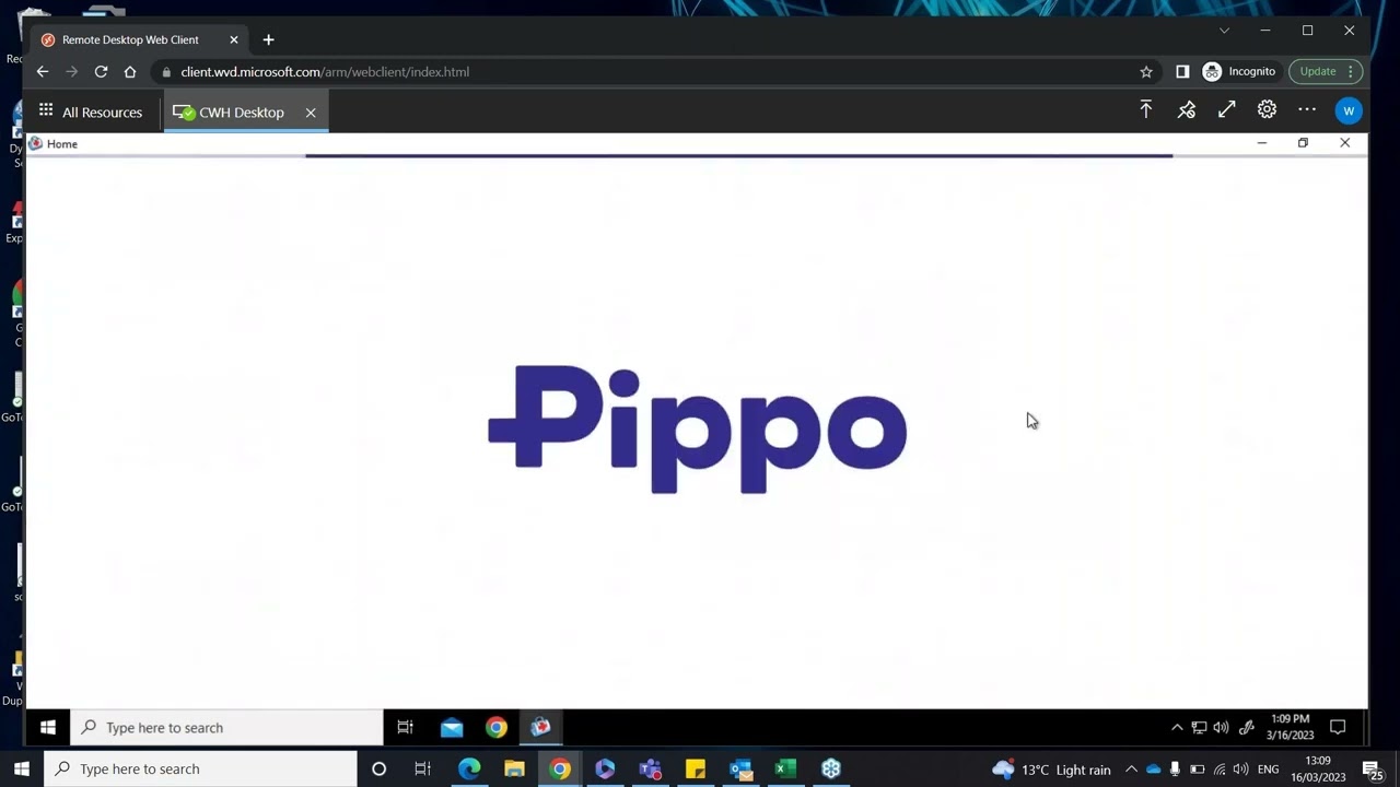 Socrates Lunch and Learn Webinar - Pippo, integrated online bookings for your practice