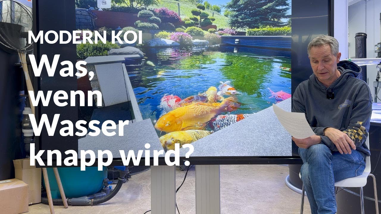 Sind große Wasserwechsel im Koiteich langfristig alternativlos? | Modern Koi Blog #7900