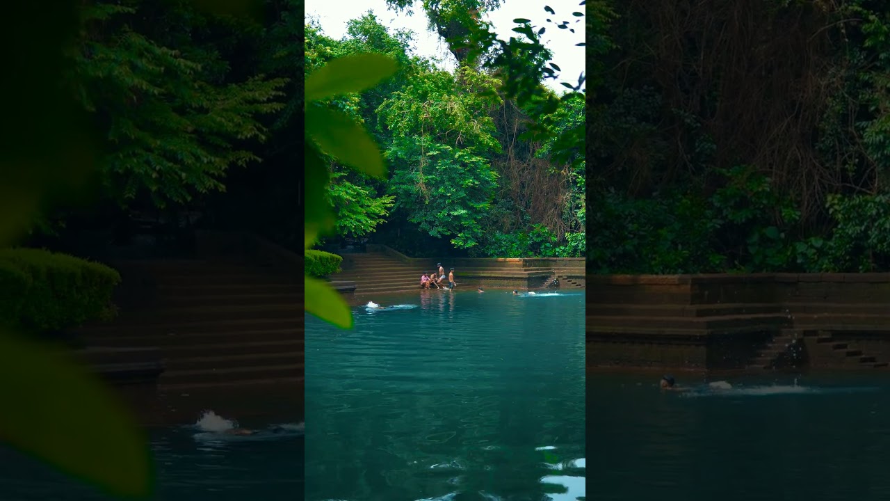 Kerala Life #viral #trendingshorts #pond #monsoon