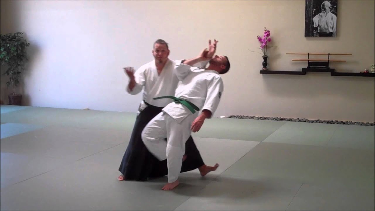 Aikido Workshop: Brad Manosevitz Sensei