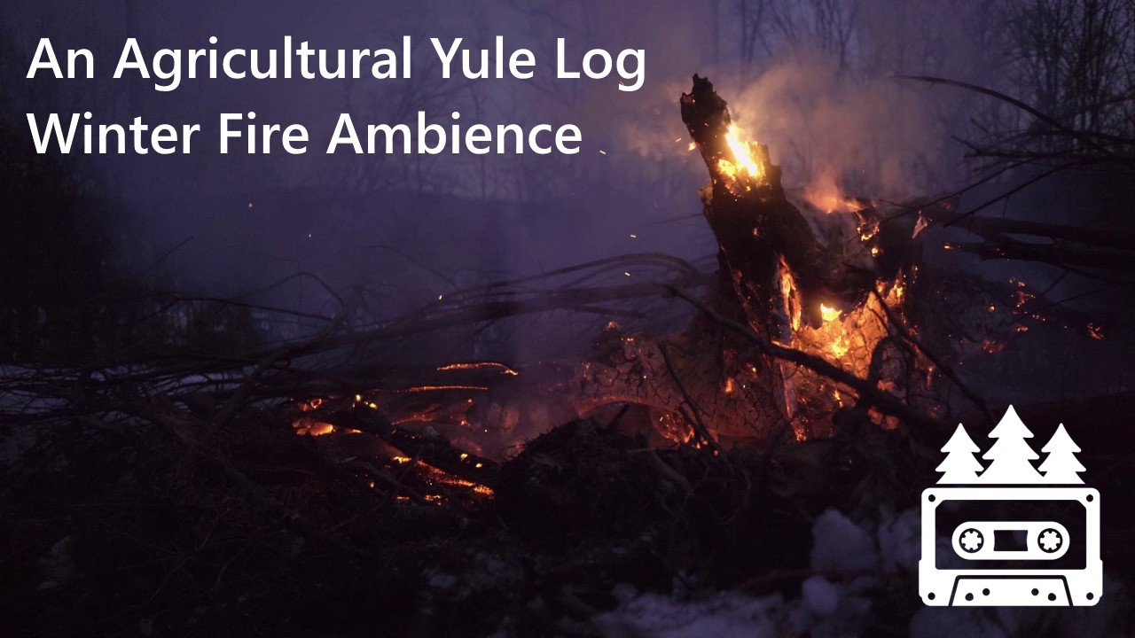 An Agricultural Yule Log | Winter Fire Ambience