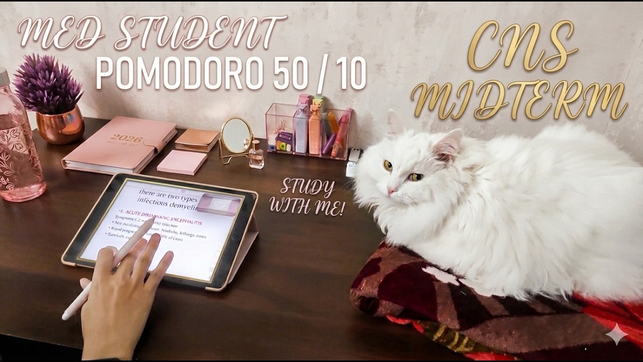 Real time 3 h studying session | medical student | CNS midterm