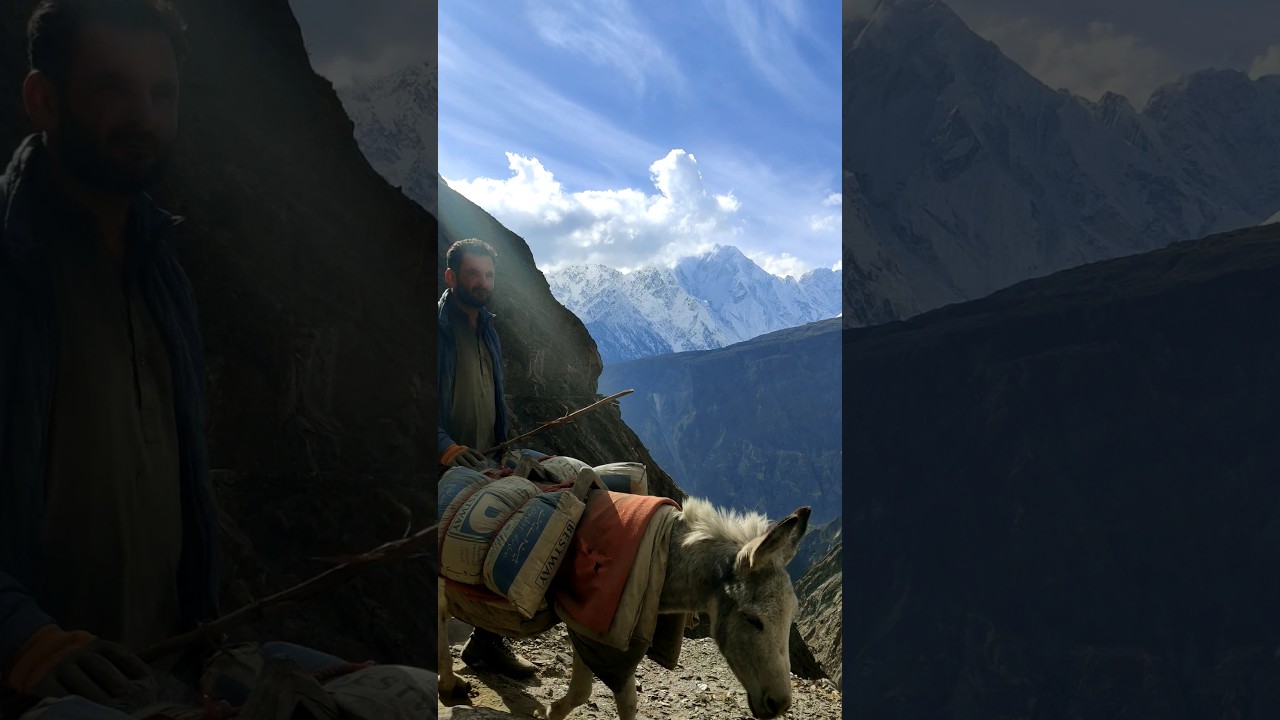 Mountain Village Life - Donkey Mountain King 👑 #shorts #shortsfeed #mountains #donkey #hiking