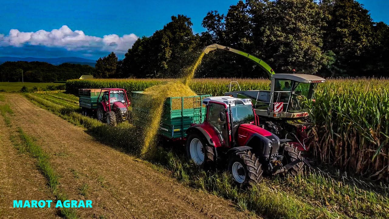 ⭐SILIRANJE KORUZE || MAISERNTE || VRAJEK 🌾2022 ✔
