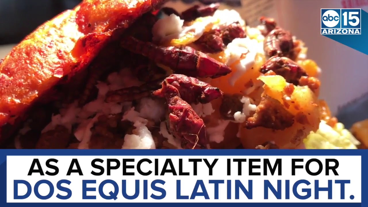 TOASTED GRASSHOPPERS! Phoenix Suns are 1st NBA team to sell chapulines - ABC15 Digital