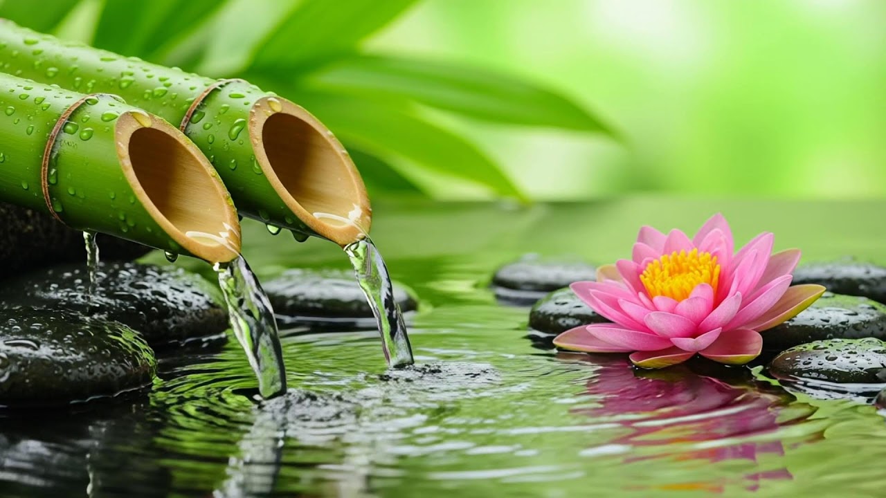 Gentle Bamboo Fountain Music – Healing Ambience for Anxiety, Sleep and Calm Mind