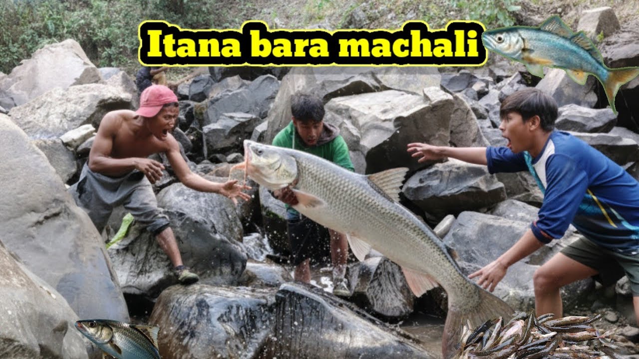Machali🐟#pakar ne gya# local life style#Gangdon