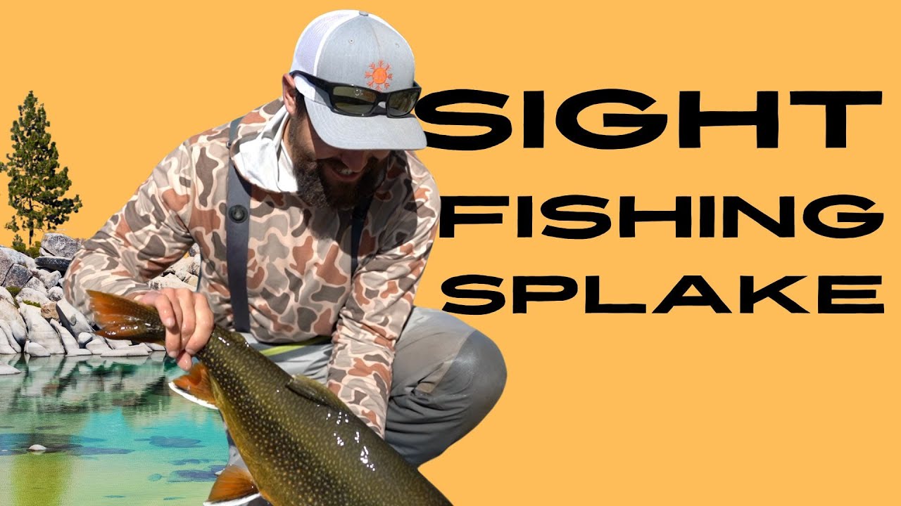 HUGE FISH IN SHALLOW WATER