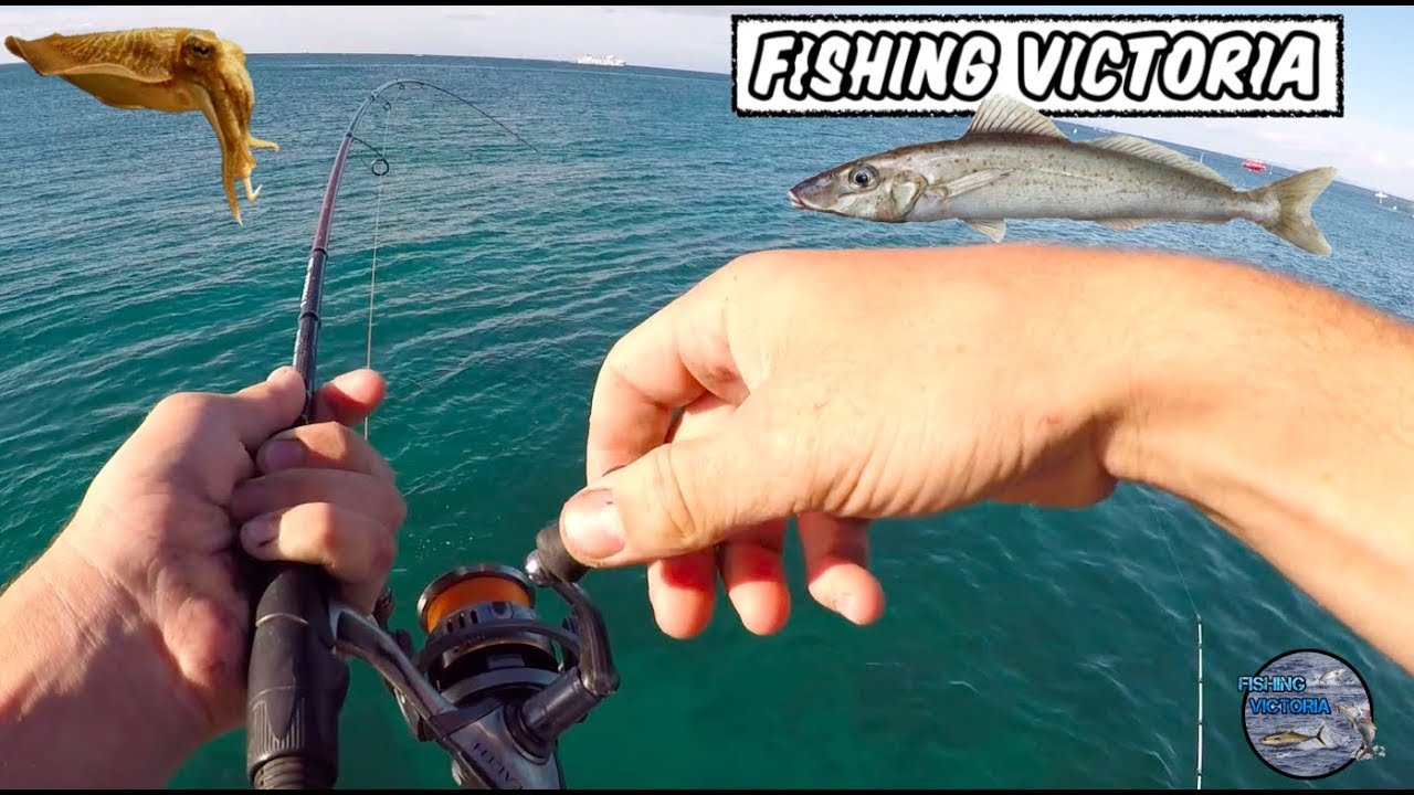 Landbased Whiting Fishing - Mornington Peninsula