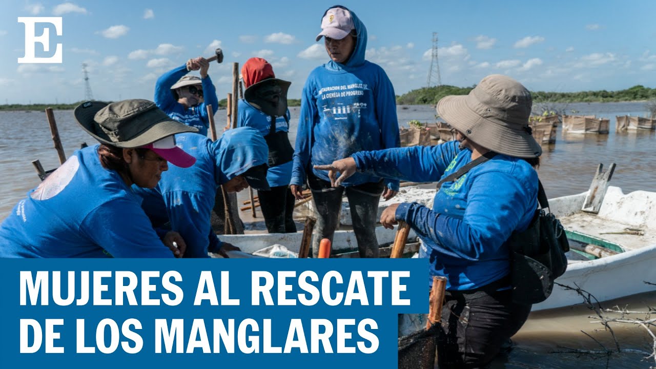 Las mexicanas que luchan por un mejor medio ambiente | EL PAÍS