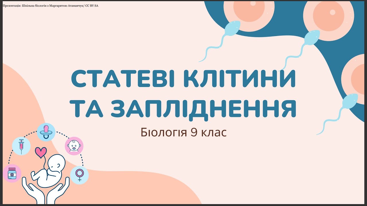 Біологія 9 клас Статеві клітини та запліднення