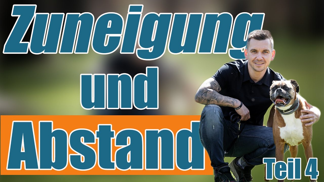 Hunde brauchen ... - auch Abstand! Teil 4 - Hundetrainer Steve Kaye