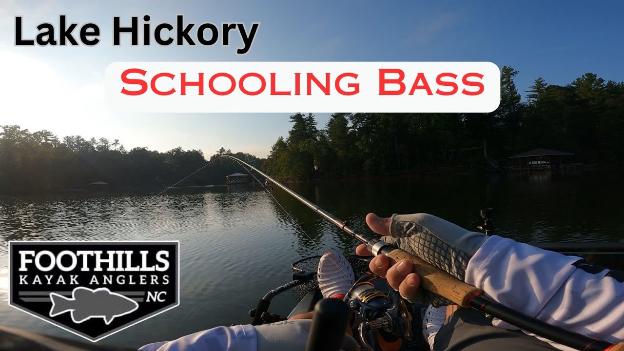 Lake Hickory, NC (Early Fall) FKA,  SCHOOLING BASS, CAN I CATCH THEM?