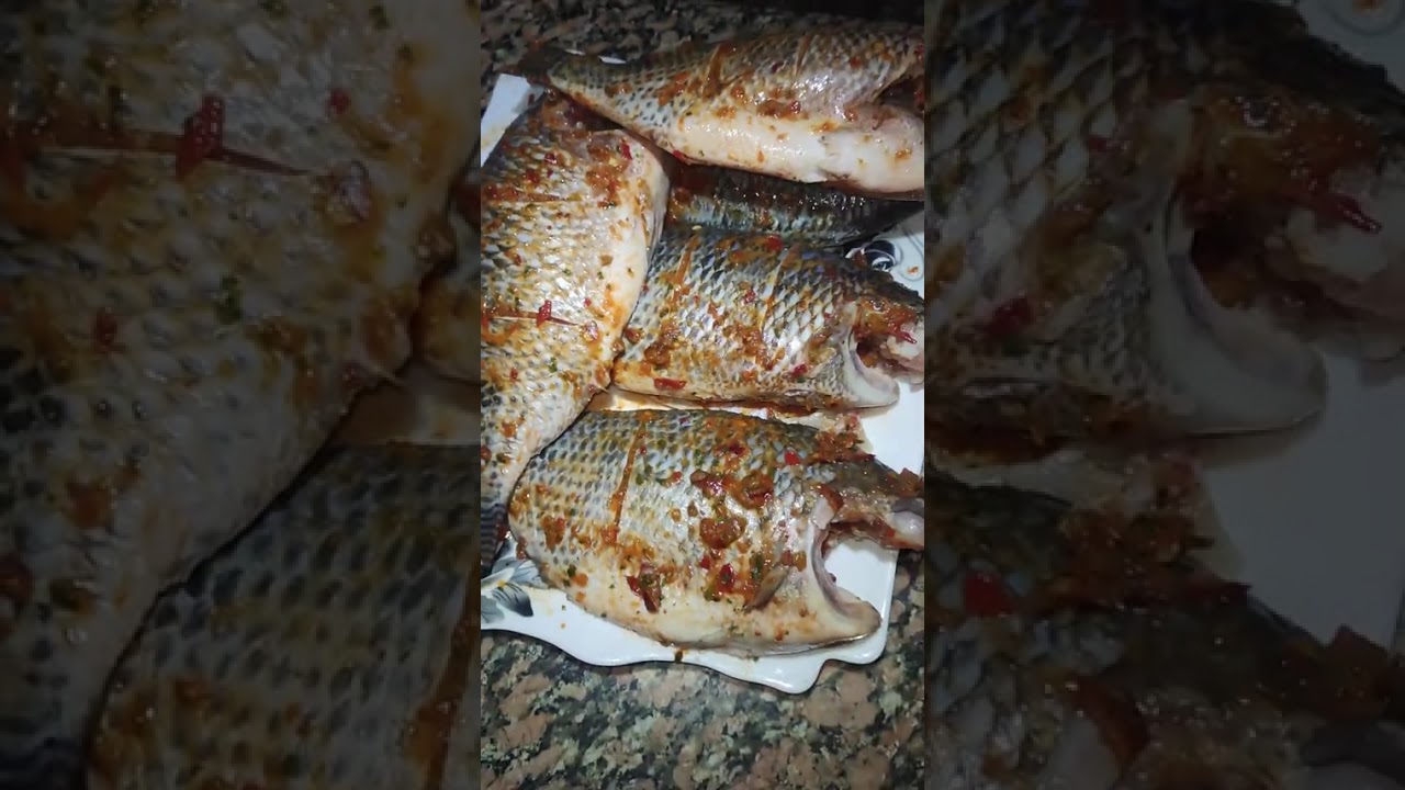 خلطه سمك مقلي تحفة 