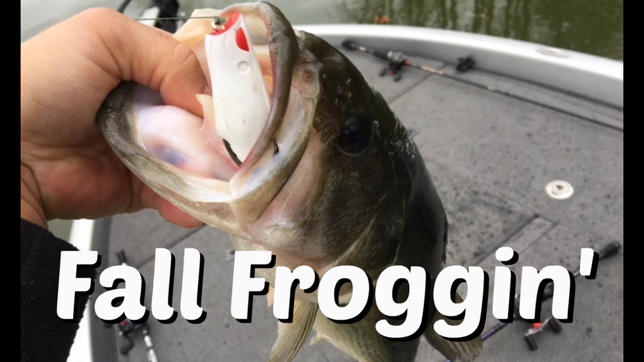 Frog Fishing In the Fall