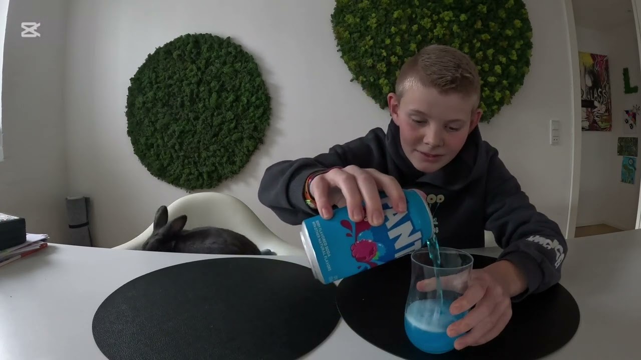 Victor tester Fanta berry