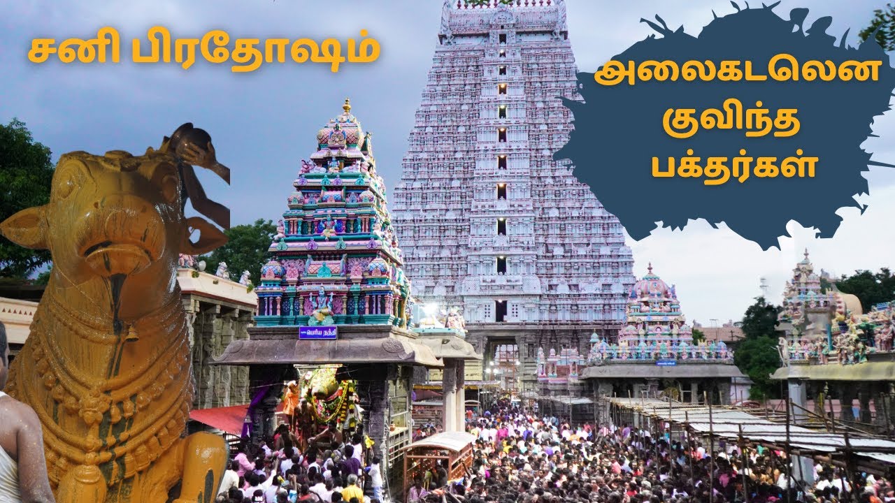 அலைக்கடலென குவிந்த பக்தர்கள்- சனி பிரதோஷம் திருவண்ணாமலை கோவில்