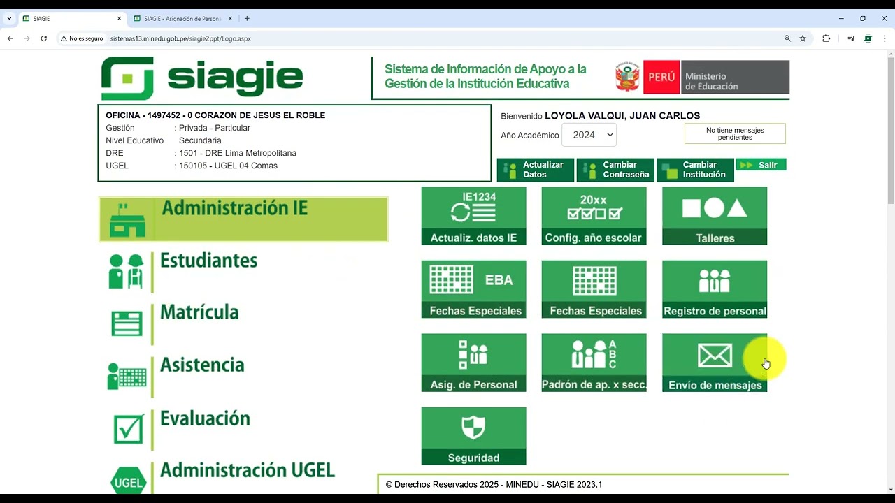 SIAGIE - Designar docente titular