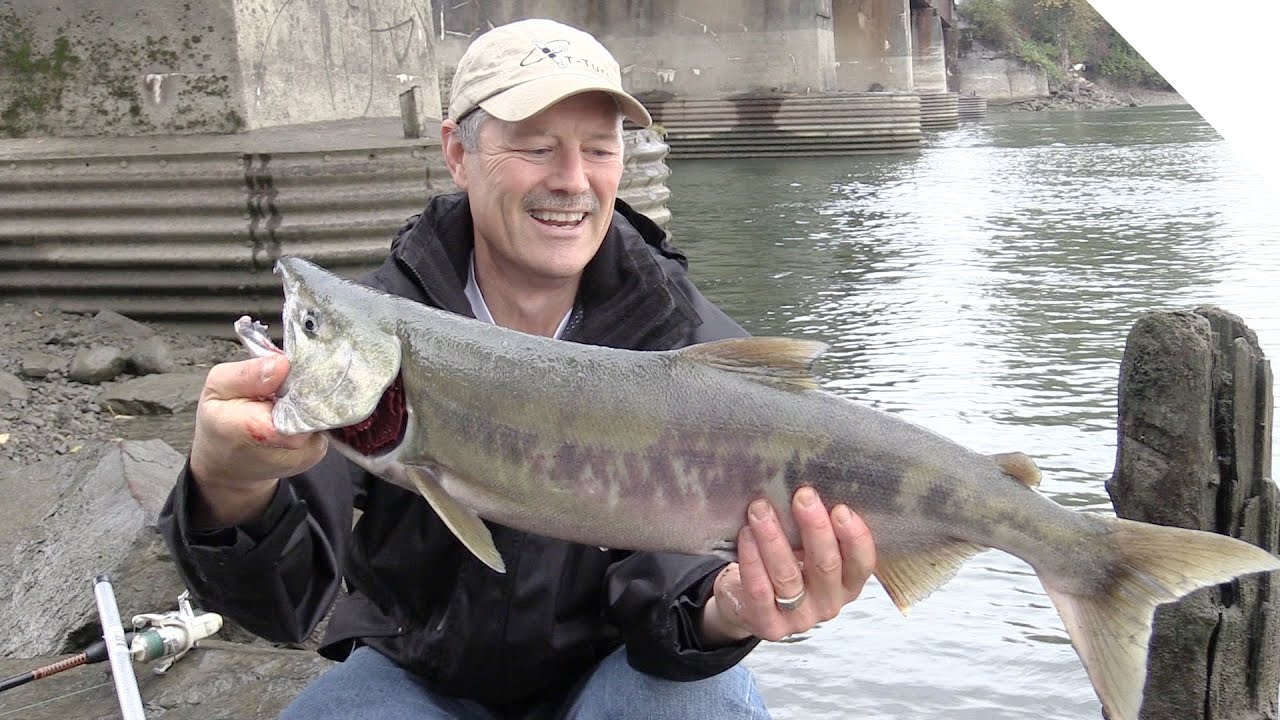 Shore Fishing for Salmon on the Fraser River, BC