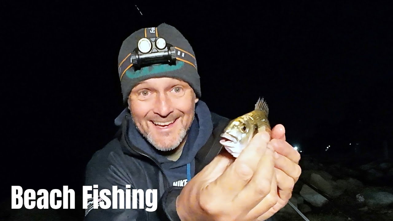 Beach Fishing - Poole - Bass and Guilt Head's