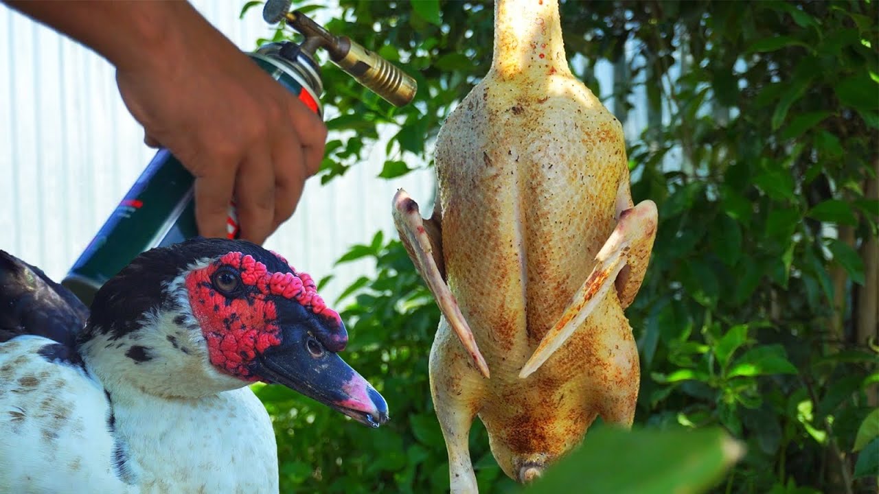 Manipuri Village Style Duck Curry Recipe | Nganu Thongba | Countryside Cooking