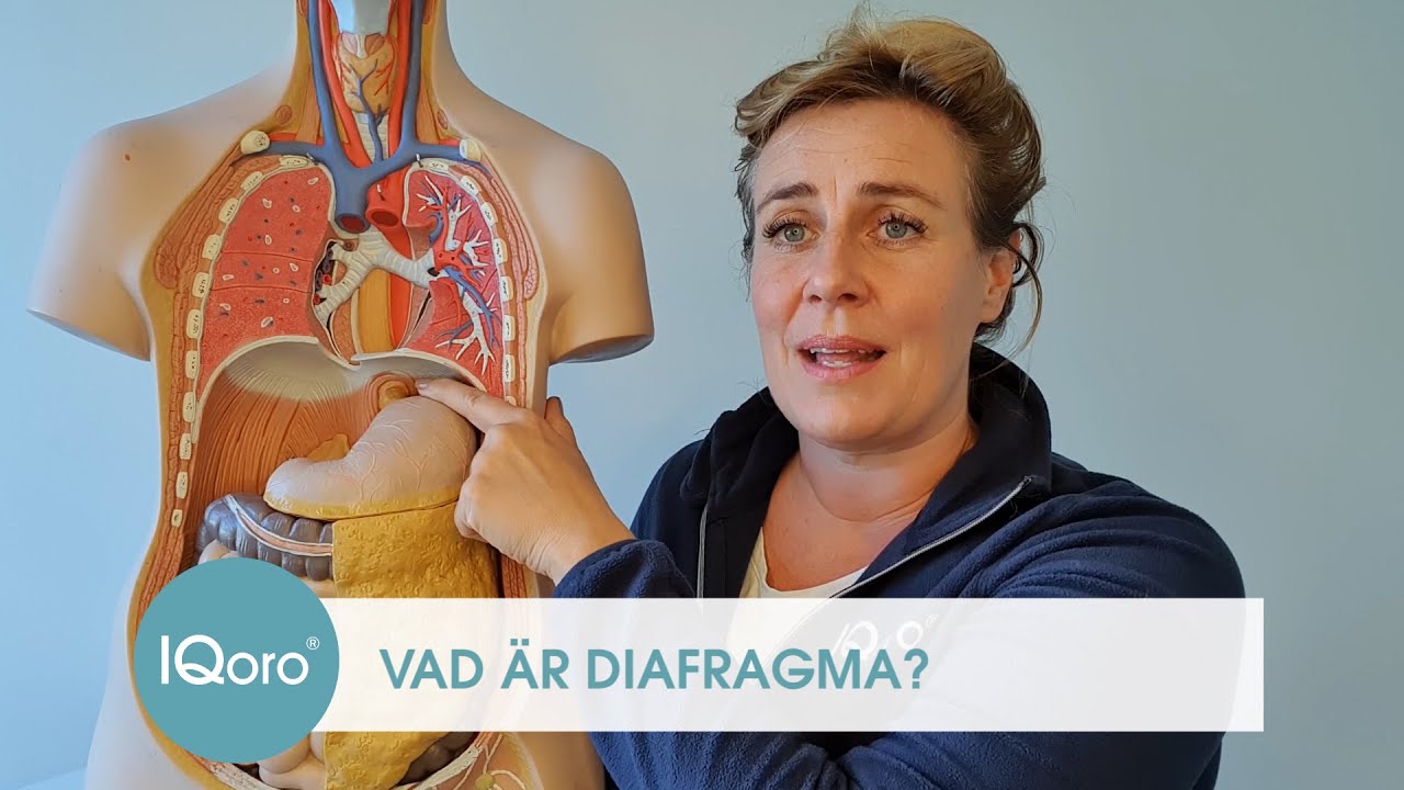 Vad är diafragma? / What is the diaphragm?