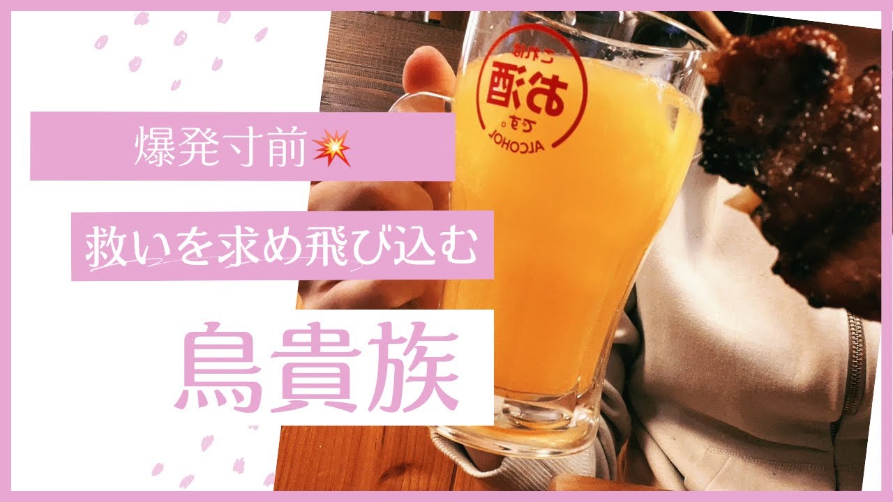 【女1人飲み】限界に達した独女が逃げ込む【鳥貴族】